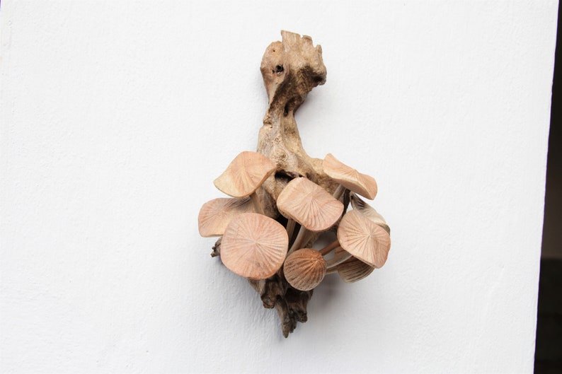 Wooden Mushroom Wall Decor