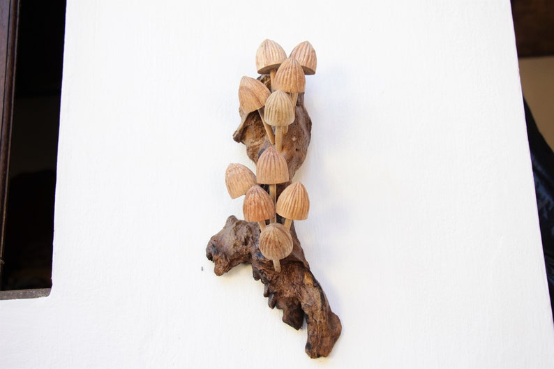 Wooden Bud Mushrooms Wall Hanging