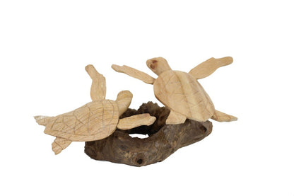 Couple Turtle on Drift Wood