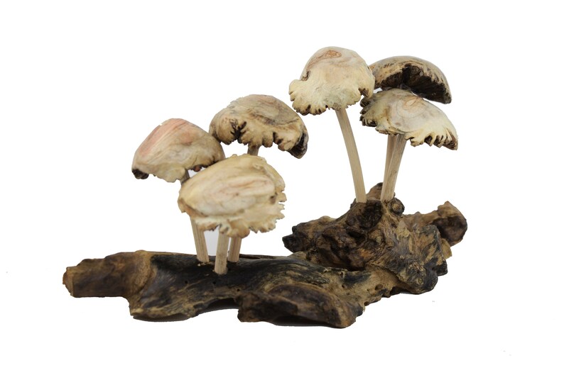 Mushroom Ornament Vintage