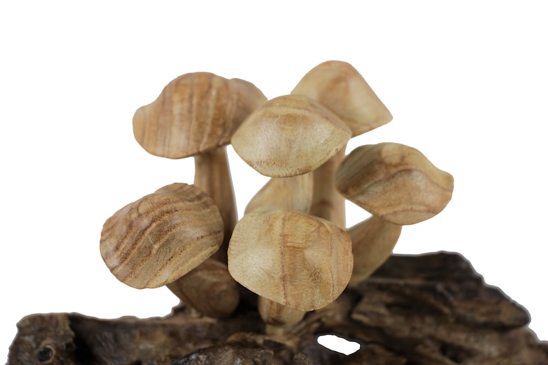 Wooden Mushroom for Table Decor