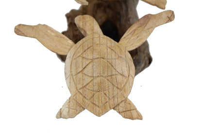 Couple Turtle on Drift Wood