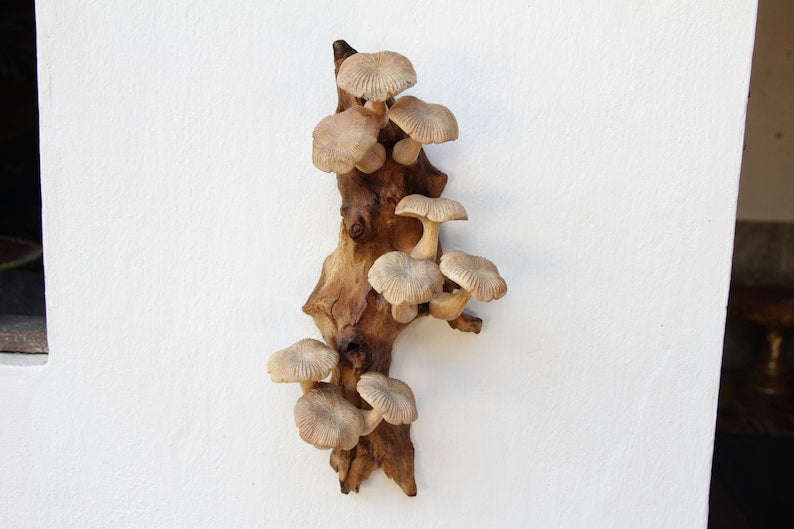 Mushroom Wall Art