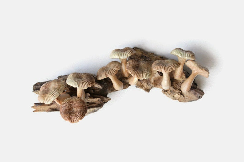 Wooden Mushroom Wall Art