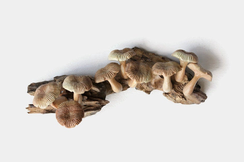 Wooden Mushroom Wall Art
