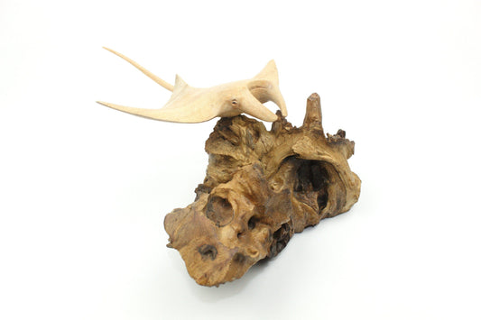 Hand-carved natural wooden sculpture featuring a single manta ray swimming above a rugged driftwood base, rustic coastal decor.