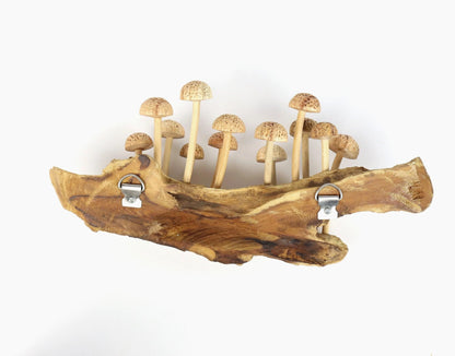 Large Hand-Carved Wooden Mushroom Cluster on Natural Log - Rustic Forest Display