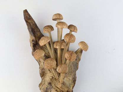 Hand-Carved Natural Wood Textured Mushroom Cluster Wall Art - Vertical Woodland Display