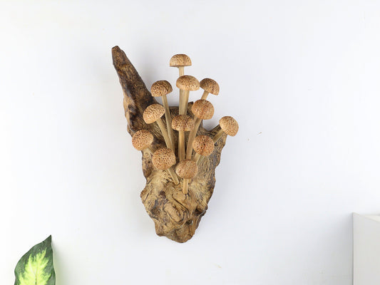 Hand-carved natural wooden sculpture featuring a dense cluster of textured bell-shaped mushrooms sprouting vertically from a gnarled wood log or root, rustic wall art decor.