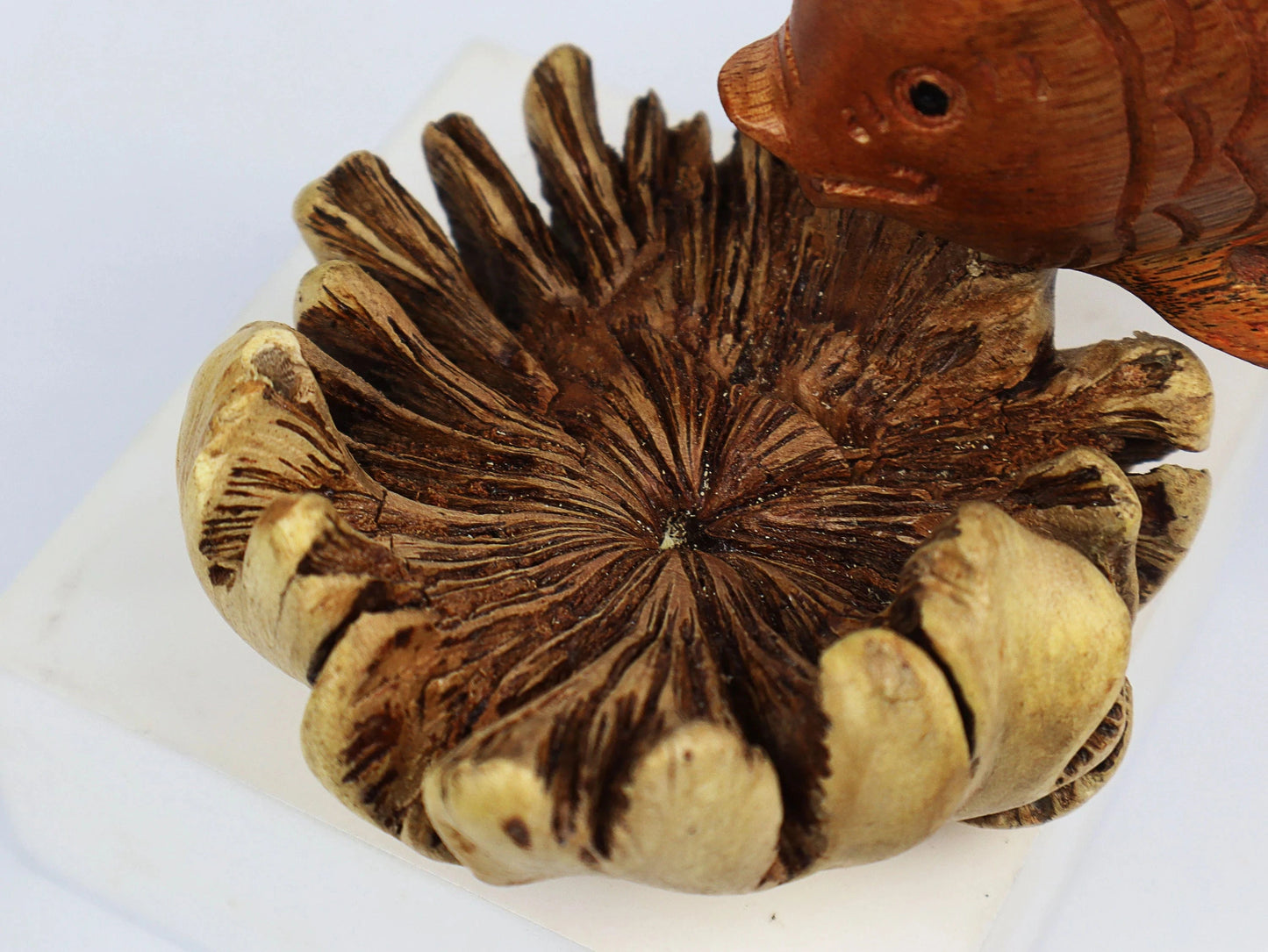 Hand-Carved Wooden Fish Sculpture on Unique Organic Base - Coastal Home Decor