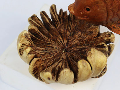 Hand-Carved Wooden Fish Sculpture on Unique Organic Base - Coastal Home Decor