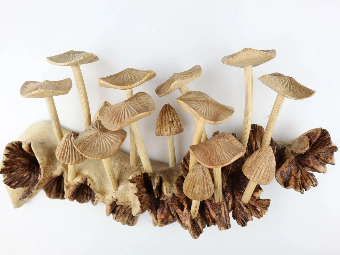 Hand-Carved Natural Wood Fanned Mushroom Log Sculpture - Horizontal Woodland Centerpiece