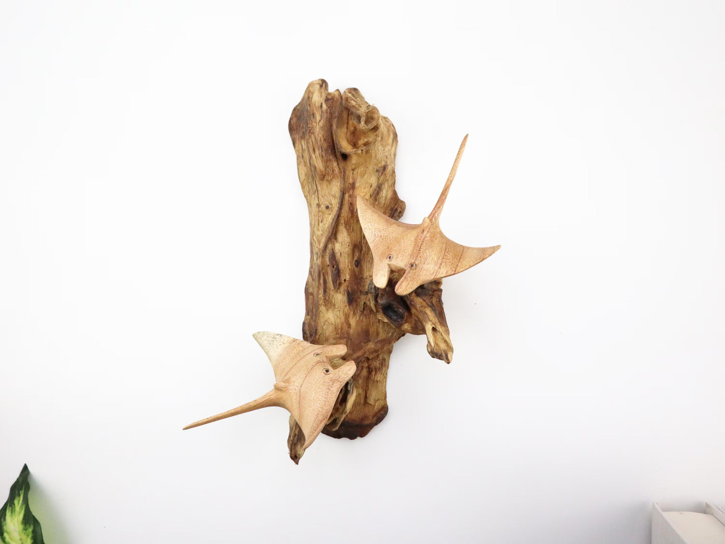 Hand-Carved Wooden Manta Ray Pair Wall Art on Driftwood - Coastal Home Decor