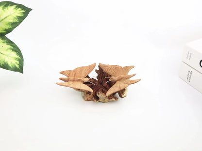 木製の蝶のカップルの彫刻