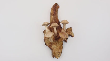 Hand-Carved Wooden Mushroom Wall Hanging – Rustic Driftwood Decor from Bali