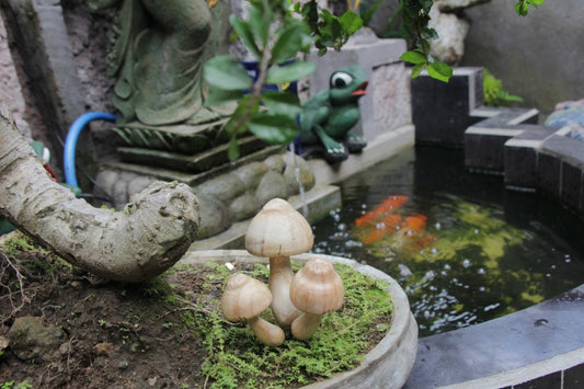きのこ園のデコ