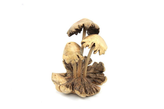 Wood Mushroom Sculpture