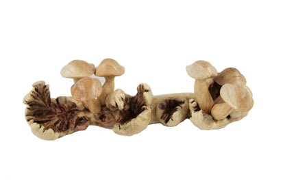 Table Top Mushroom Deco