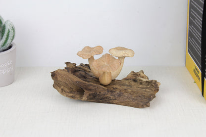Unique Mushroom Sculpture