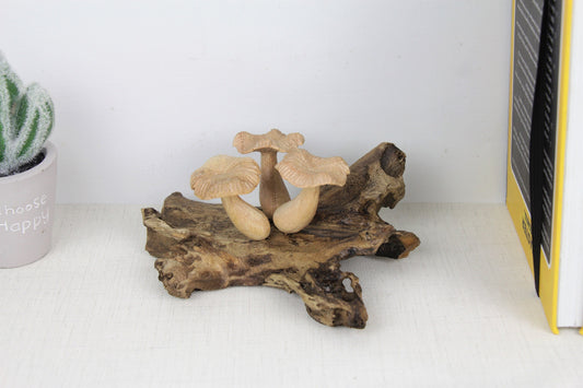 Unique Mushroom Sculpture