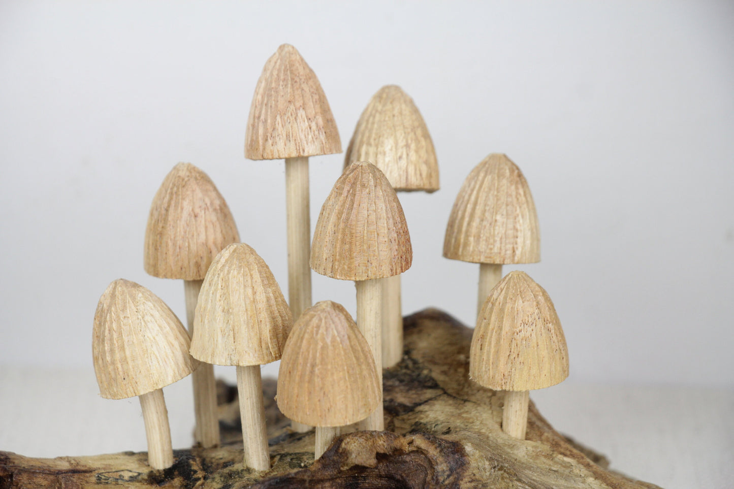Magic Mushroom Wood Deco