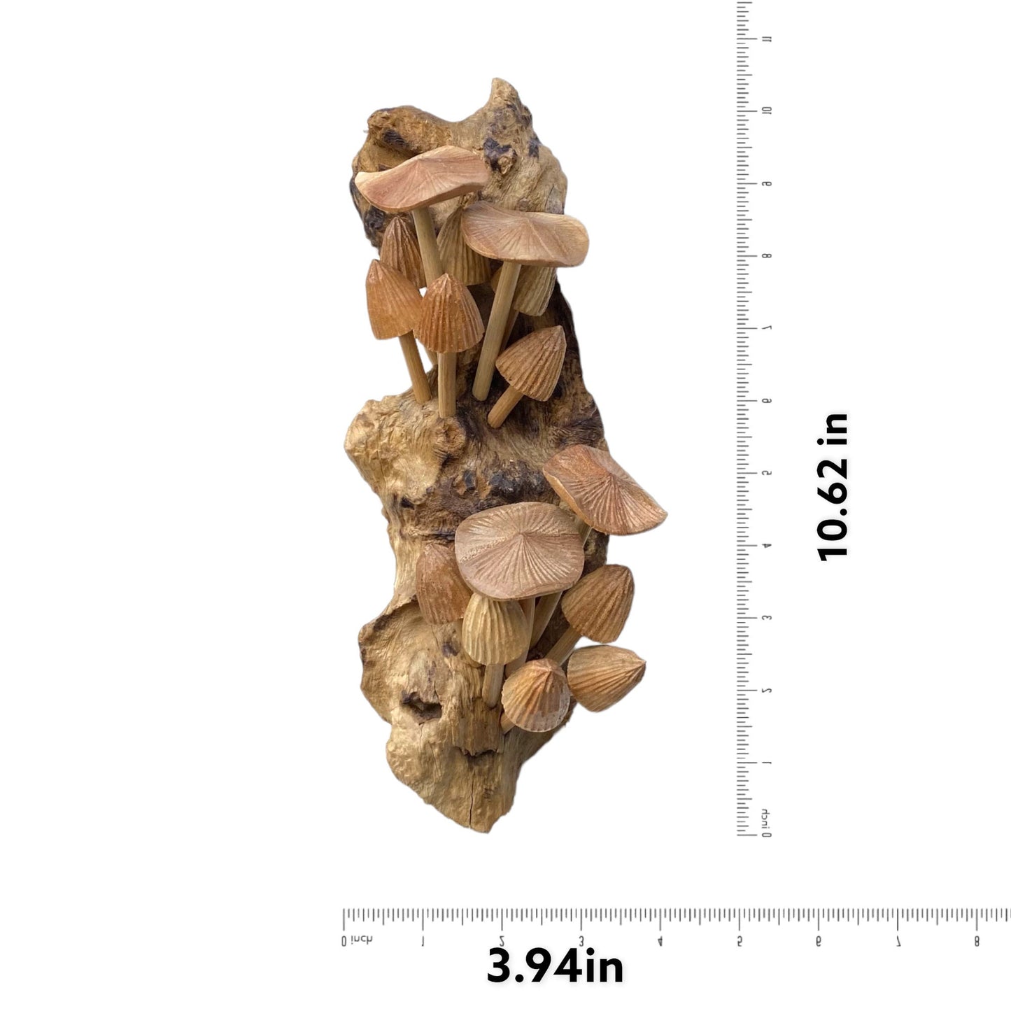 Mushroom Wall Deco